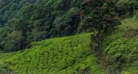 තවත් වනාන්තර 20ක් අද රක්ෂිත බවට පත් කරයි.